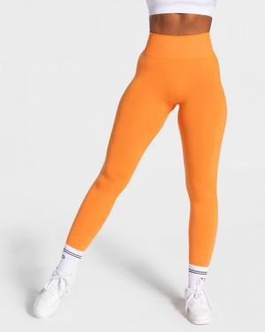 Teveo Classy Leggings Orange | UNDD1850