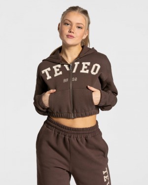 Teveo College Zip Hoodie Dark Brown | GMYP9337