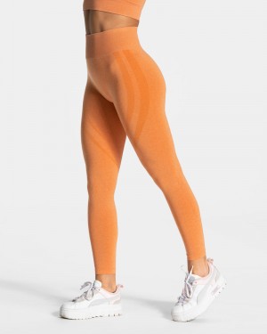 Teveo Evolution V2 Leggings Orange | NNAW5644