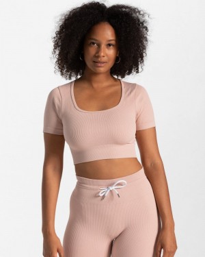 Teveo Ribbed Crop Top Pink | KTOS7565