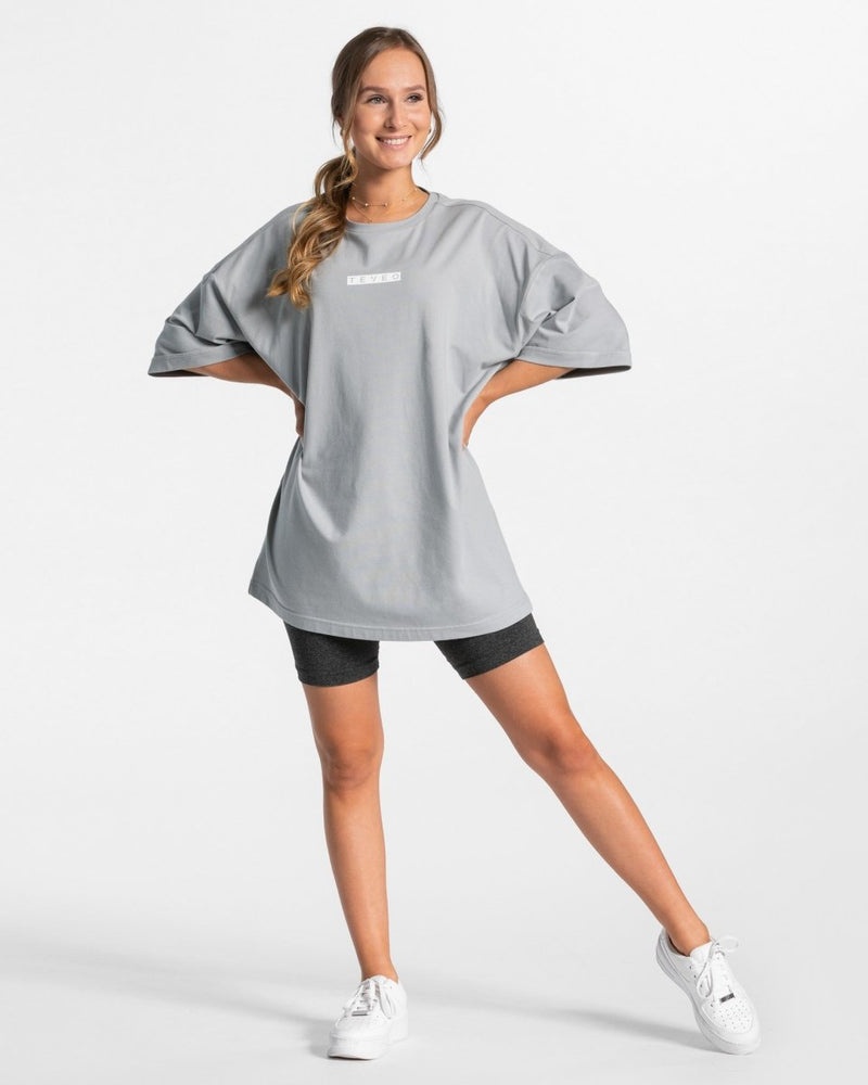 Teveo Iconic Oversized T-shirt Grey Blue | SSYQ5253